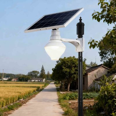 Waterproof Split LED Solar Street Lamp With Apple Shaped For Outdoor Parks
