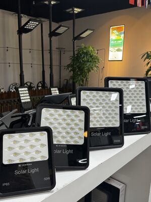 Qualità Luce solare inondante esterna Sensore di luce automatico LED ad alta potenza carica duratura fabbrica